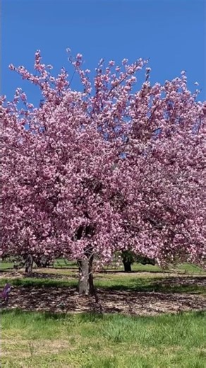 It’s Finally Spring Break! [TRAILER]