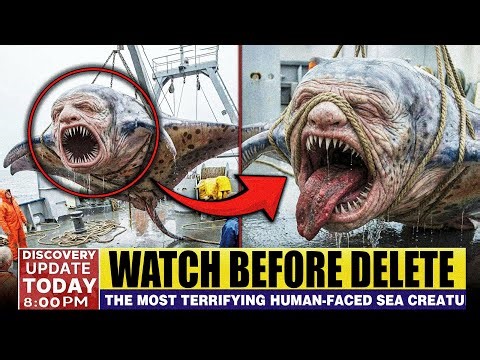 The Most TERRIFYING Human-Faced Sea Creature a Fisherman Ever Caught — Caught on Camera