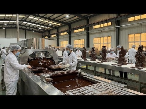 Inside the Factory: China’s Giant Artisan Chocolate Process (Full Process)