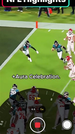 Iconic NFL Moments That Transcend the Game