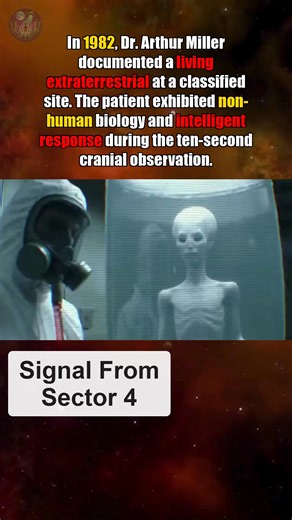 The "Miller Tape" – The 1982 Mojave Desert Incident. Following the recovery of a craft near Edwards Air Force Base, Dr. Arthur Miller was summoned to a subterranean facility to conduct the first biological assessment. Inside a specialized containment tank, a humanoid entity of extraterrestrial origin was observed exhibiting low levels of consciousness. Lead technician Sarah Vance noted the absence of thoracic expansion, suggesting a respiratory system completely foreign to terran biology. As Mil