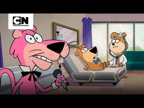 UM AGRESSOR EM SÉRIE ATERRORIZA JELLYSTONE | JELLYSTONE! | CARTOON NETWORK