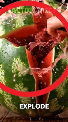 Why do some watermelons explode when you touch them?