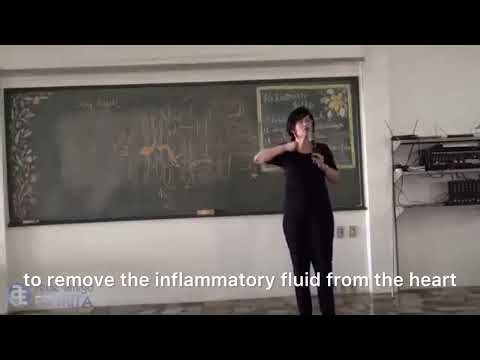 Dra. Anete Guimarães explain anal sex. Is it normal?