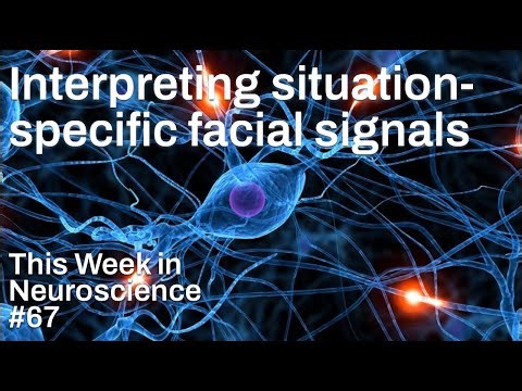 TWiN 67: Interpreting situation-specific facial signals