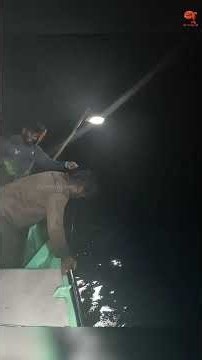 King Fish hooked with fishing Sardine Fish as bait! #fishing #fishingvideo #fishingtime