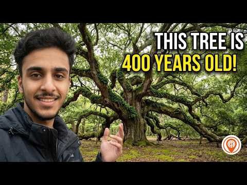 5 Hidden Places in Charleston, South Carolina You Haven’t Seen | USA Travel Guide