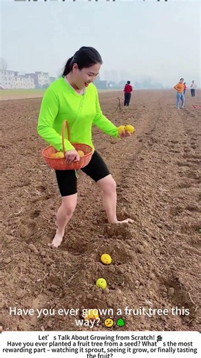 Planting a Lemon Tree the Traditional Way – Tucking a Seed into the Earth 🍋🌱
