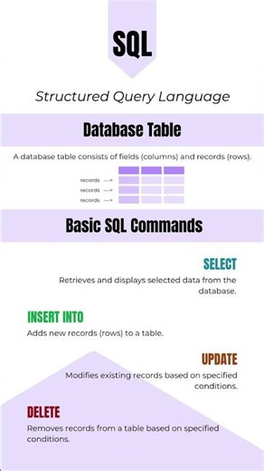 Basic SQL Commands