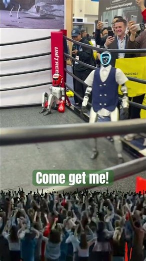 Humanoid Robot Goes Wild in Boxing Ring – Epic Kicks & Fight Moves! 🤖🥊