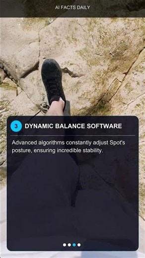 Spot Robot's Secret Moves! 🤖🐾