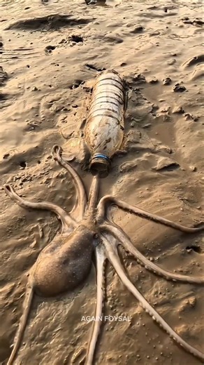 This Octopus Thought the Bottle Was Its Home! 🐙🍾😱 #Shorts