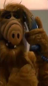 The Origin of Spiderman -- I mean, Cockroach-Alien-Man...? #ALF #Spiderman