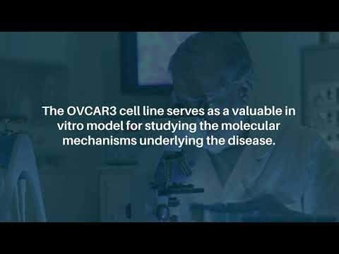 TP53 DNA Sequencing Links Clinical Insight and Lab Models in Ovarian Cancer | Oncoscience