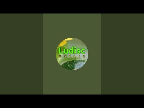 LIVE Zoom Telescope Flower Moon
