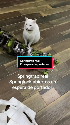 Springtrap y los Springlocks Abiertos: Cosplay y Más