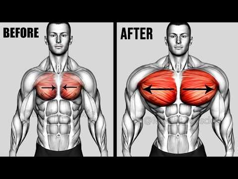 Best Exercises Chest Exercises You Need to Try! 🔥