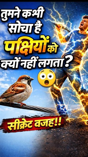Why Birds Don’t Get Electric Shock? ⚡ Shocking Truth Revealed!#shorts#viral