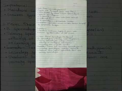 B.Sc. 3rd Semester Zoology | Unit 1: Gametogenesis | Complete Lecture on Spermatogenesis & Oogenesis