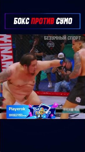 Who Wins: A Sumo Wrestler vs. A Boxer? #shorts