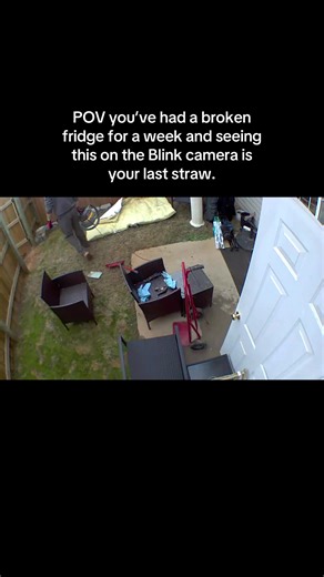 Broken Fridge Woes: Two Weeks and Counting!