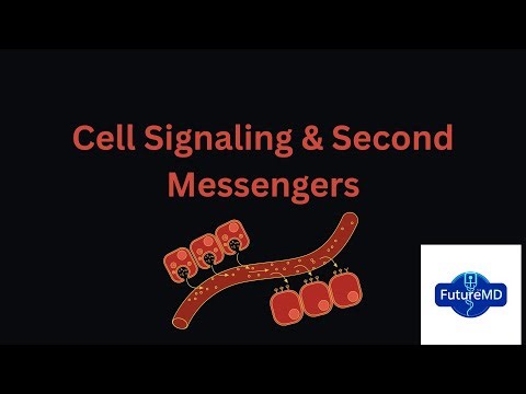 “Cell Signaling & Second Messengers — The Language of Cells”