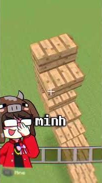 Kỷ Lục "VÔ LÝ NHẤT" Lịch Sử Minecraft Thế Giới #channy #minecraft