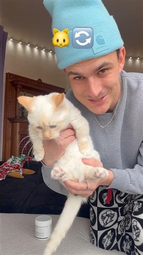 Day 2! I think eventually they are going to be so good at flipping haha 😂🔄#pov #reels #catflip