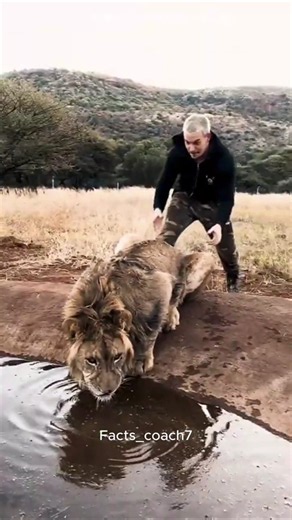 True Friendship Between Man and Lion