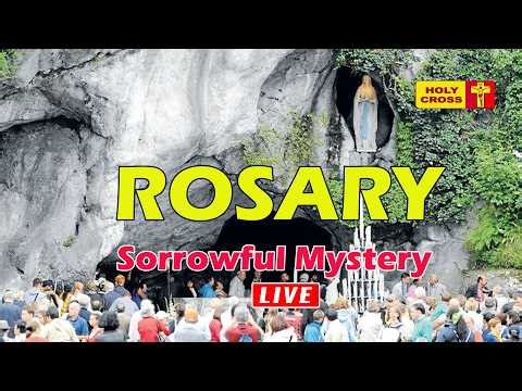 🔴 LIVE -01-05-2026 @ Holy Rosary from France Lourdes Grotto | Sorrowful Mystery | Holy Cross Tv
