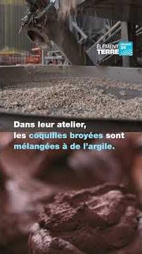 Ils font des routes anti inondation et des murs anti sécheresse avec des huîtres • FRANCE 24