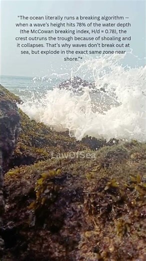 #Sea#Ocean#Wave#algorithm