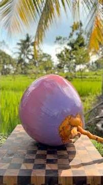 This Coconut Is Pure Satisfaction 😌