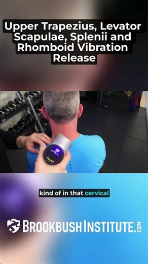🔴 Upper Trapezius, Levator Scapulae, Splenii and Rhomboid Vibration Release