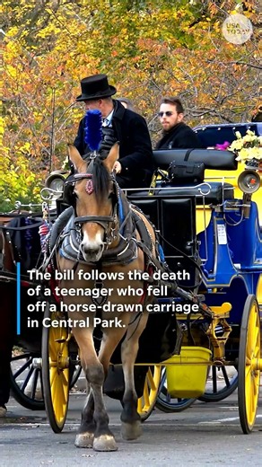 New York to ban Central Park’s horse-drawn carriages after teenager’s death