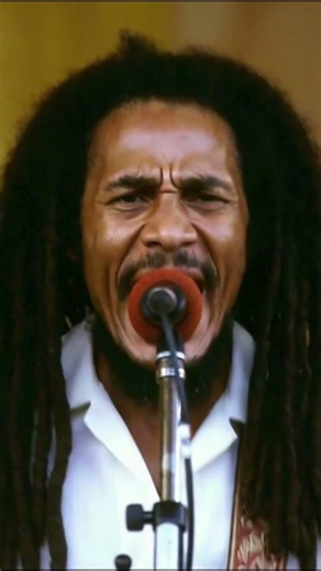Bob Marley & The Wailers - Roots, Rock, Reggae (1976)