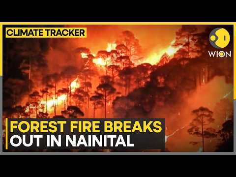 Nainital Forest Fire: Massive Fire in Two Forest Pockets of Gethia Area | Climate Tracker