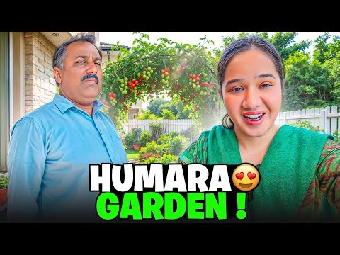 Sitara yaseen new vlog 