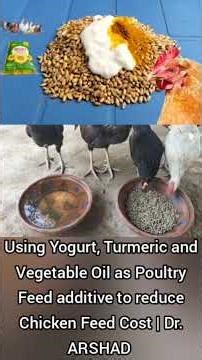 Using Yogurt, Turmeric and Vegetable Oil as Chicken Feed additive to reduce Feed Cost
