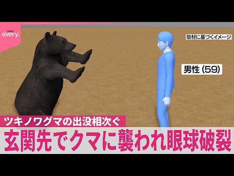 【クマ】玄関先で男性が襲われ眼球破裂  ツキノワグマの出没相次ぐ  愛知･豊田市