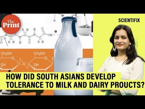 How did South Asians develop lactose tolerance? New genome study says it was an accident of ancestry