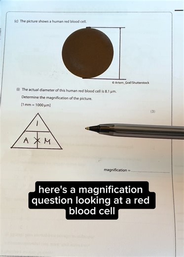 Master GCSE Magnification Questions