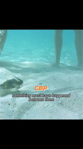 A woman and two men are stranded on a desert island. The fight over mating rights threatens their lives. #movie #film #fyp @topfans | ZZ Daily Stories