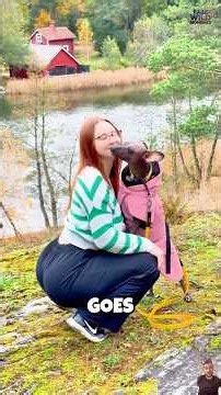 Heartwarming Animal Rescue Stories | Incredible Rescues & Happy Endings part 32