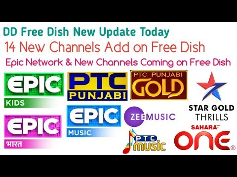 DD Free Dish BiG New Update|14 New Channels Add on Free Dish|Epic Network Add on Free Dish