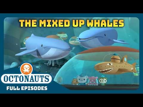 @Octonauts - 🐋 The Mixed Up Whales 🐋 | Season 1 | Full Episode | Cartoons for Kids