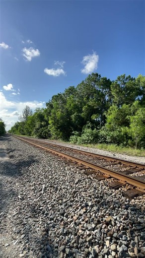 Holy Moly Its The AMtrak Floridian!