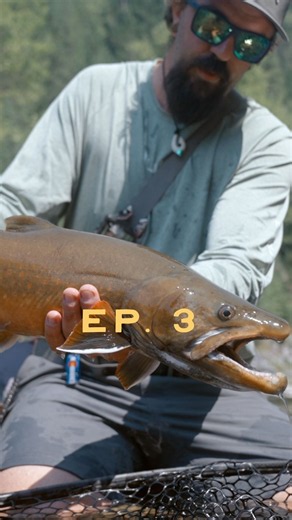 Episode 3: WHERE THE BULLS STILL SWIM