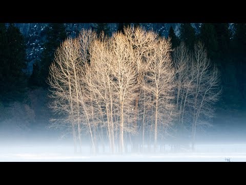 Beautiful Relaxing Soothing Music, Peaceful Music, "Winter Peaceful Dreams" by Tim Janis
