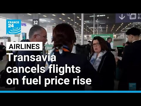 Budget airlines first to cut flights as jet fuel prices soar • FRANCE 24 English